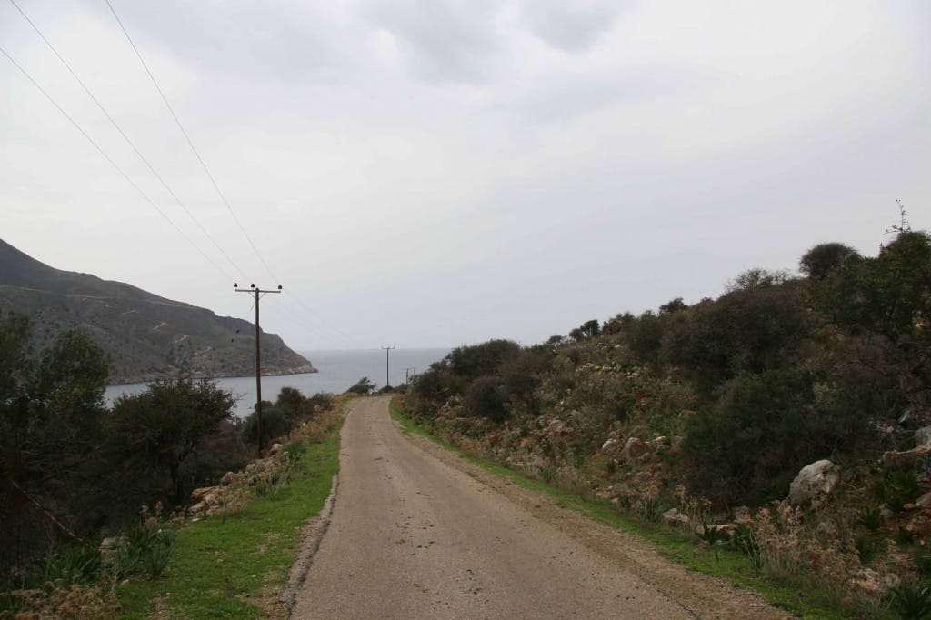 image1 (2)
