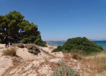 20170722_153415